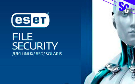 Антивирус ESET NOD32-EFSL-NS-1-3 KZ