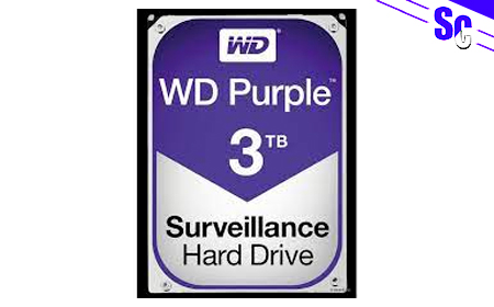 HDD WD WD30PURX